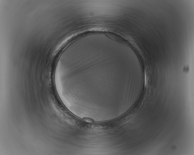 X0000114720531200911121734