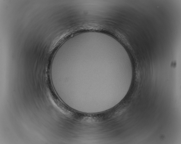 X0000114720538200911121735