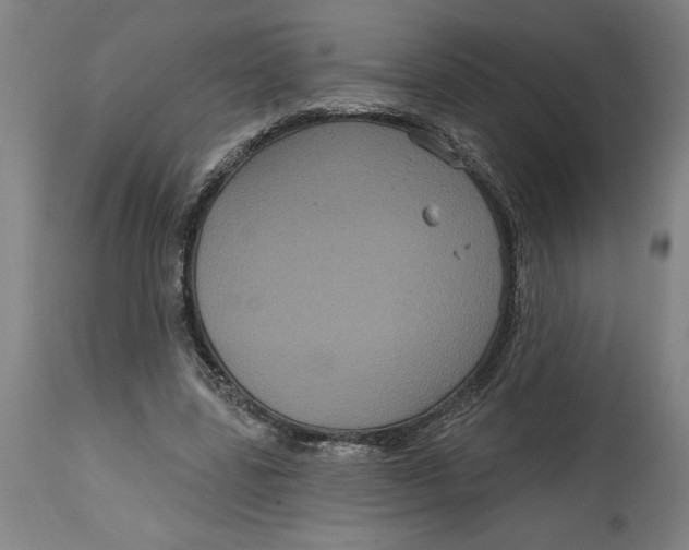 X0000114720539200911121735