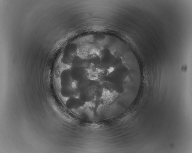 X0000114720542200911121735