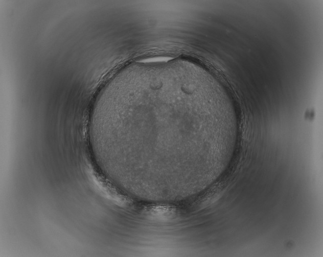 X0000114720546200911121735