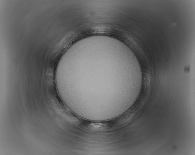 X0000114720557200911121735