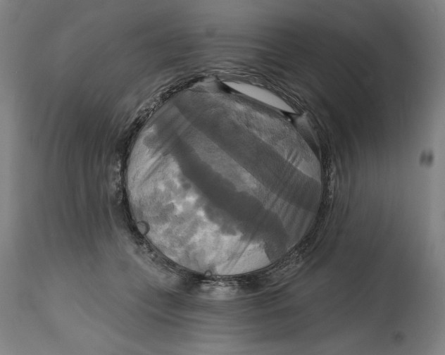 X0000114720559200911121735