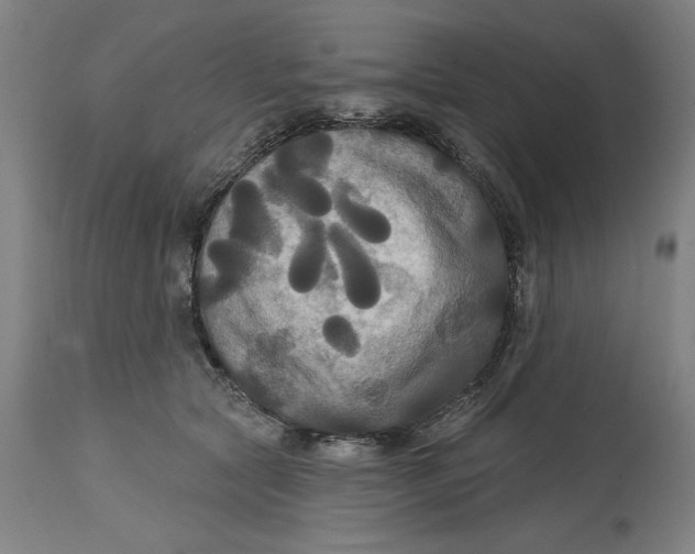 X0000114720561200911121735