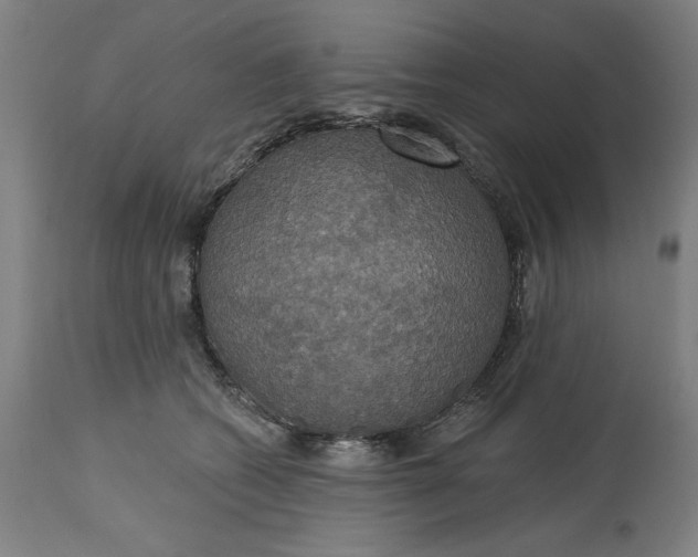 X0000114720562200911121735