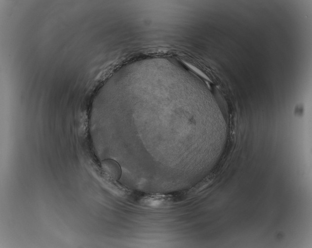 X0000114720563200911121735