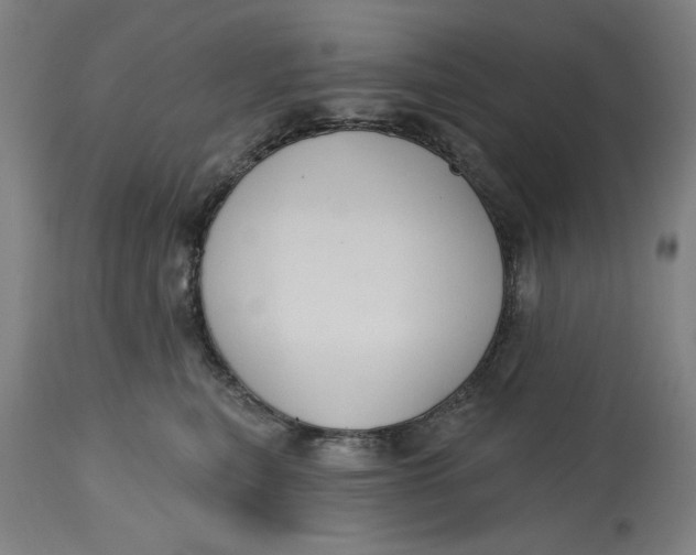 X0000114720567200911121735