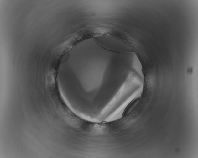 X0000114720570200911121735