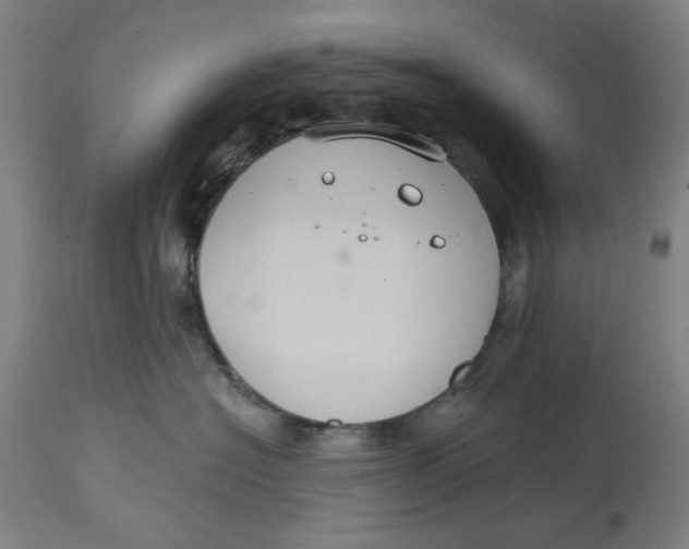 X0000114720574200911121735