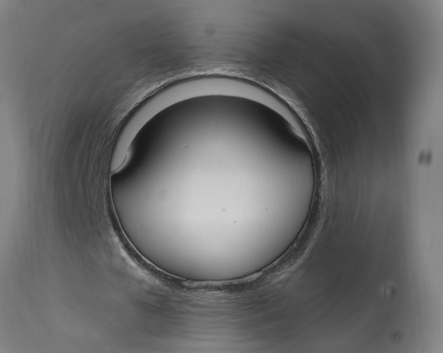 X0000114720577200911121734