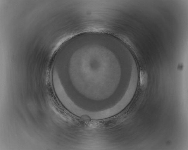 X0000114720579200911121734