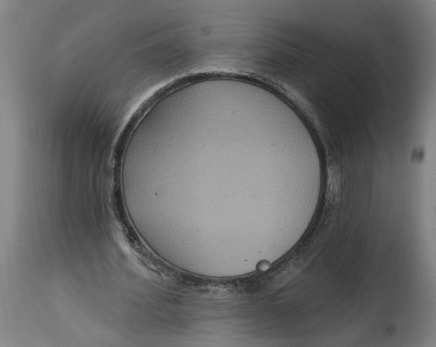 X0000114720580200911121734