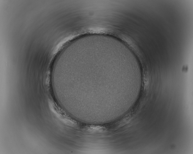 X0000114720583200911121734