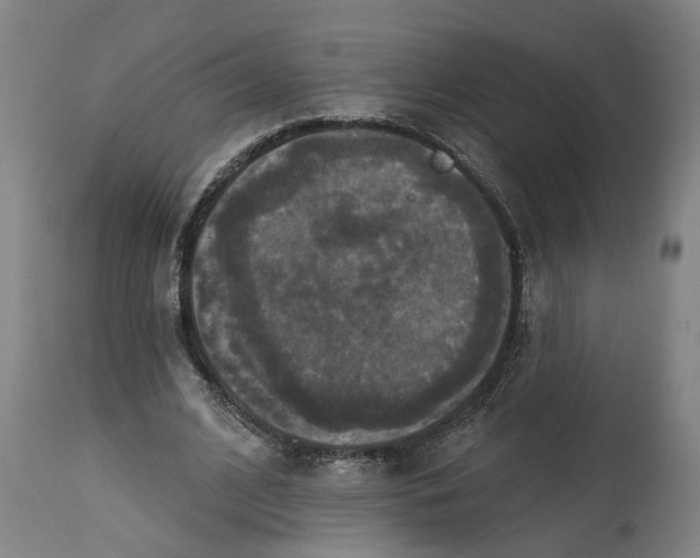 X0000114720584200911121734