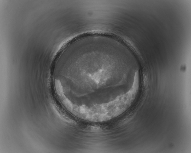 X0000114720588200911121734