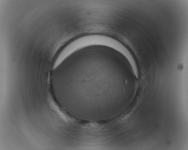 X0000114720589200911121734