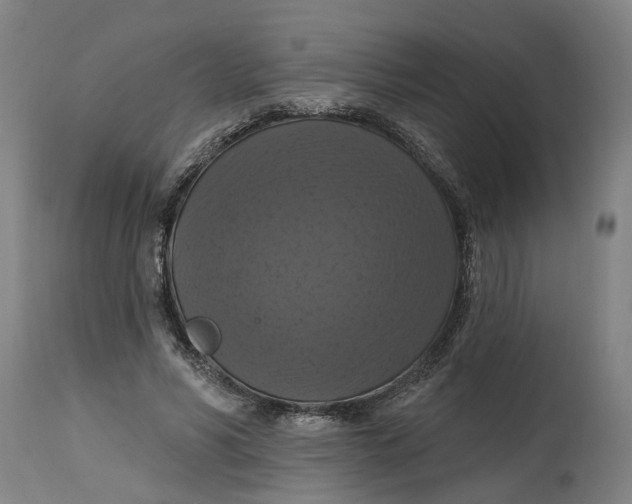 X0000114720590200911121734