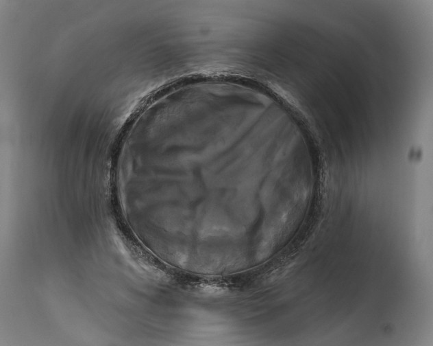 X0000114720592200911121734