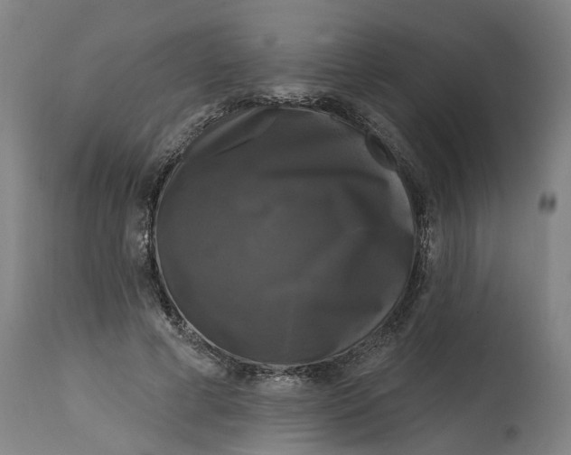 X0000114720593200911121734