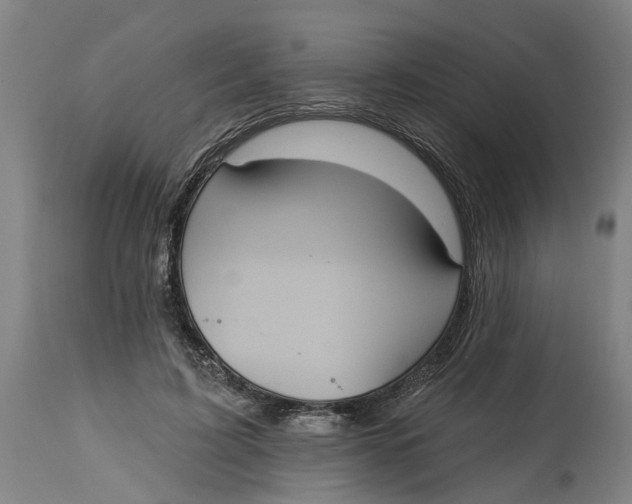 X0000114720595200911121734