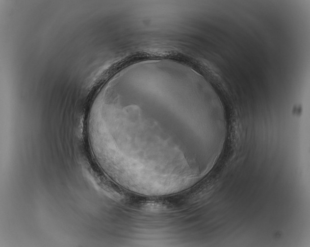 X0000114720596200911121734