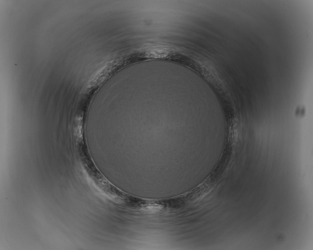 X0000114720598200911121734