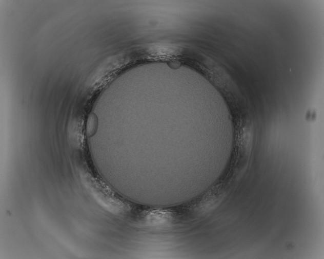 X0000114720599200911121734