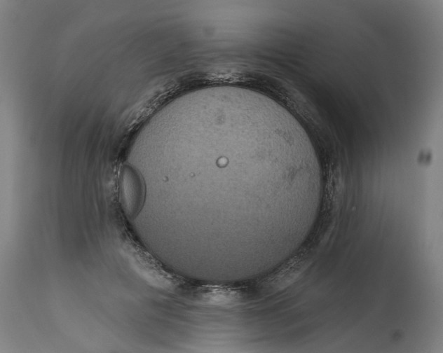 X0000114720601200911121734