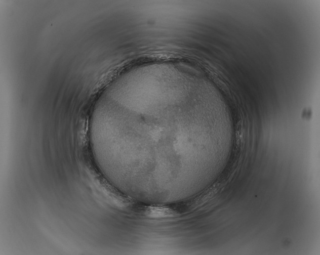 X0000114720605200911121734