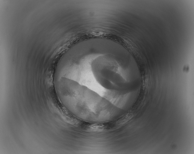 X0000114720606200911121734