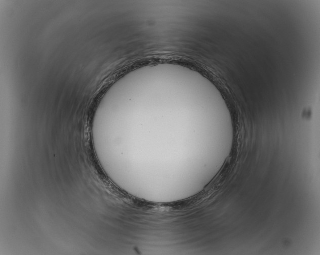 X0000114720609200911121734