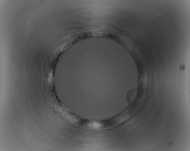 X0000114720610200911121734