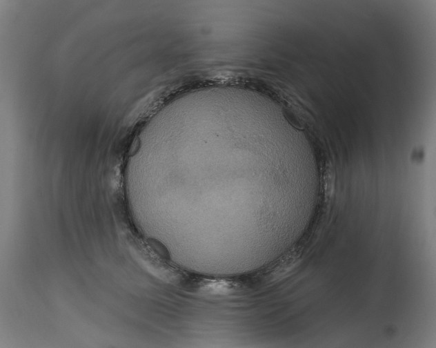 X0000114720611200911121734