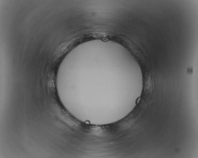 X0000114720616200911121734