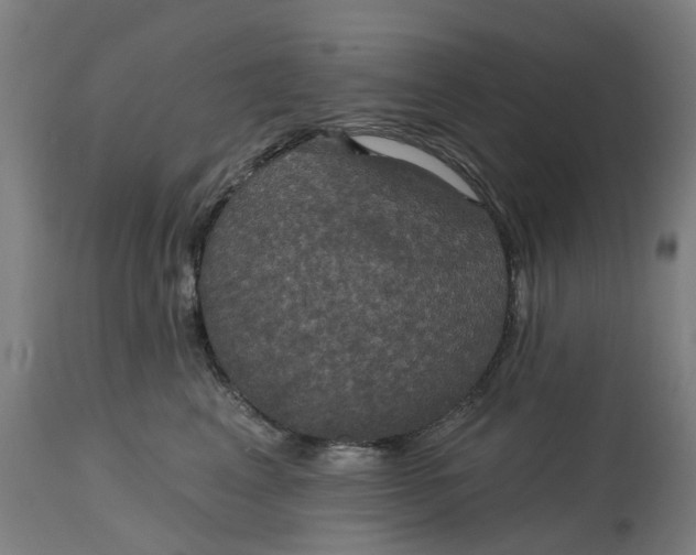 X0000114720617200911121734