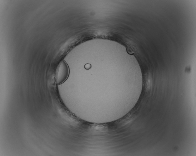 X0000114720619200911121734