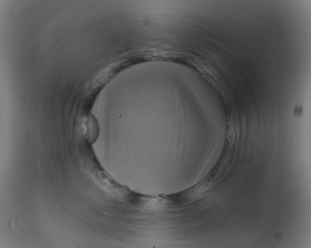 X0000114720621200911121734