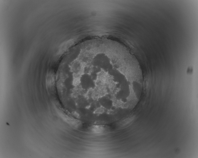 X0000114720623200911121734