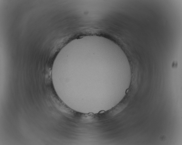 X0000114720624200911121734