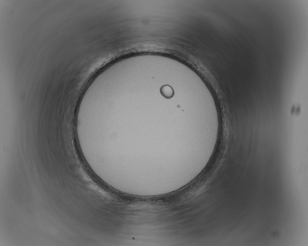 X0000114720625200911121733