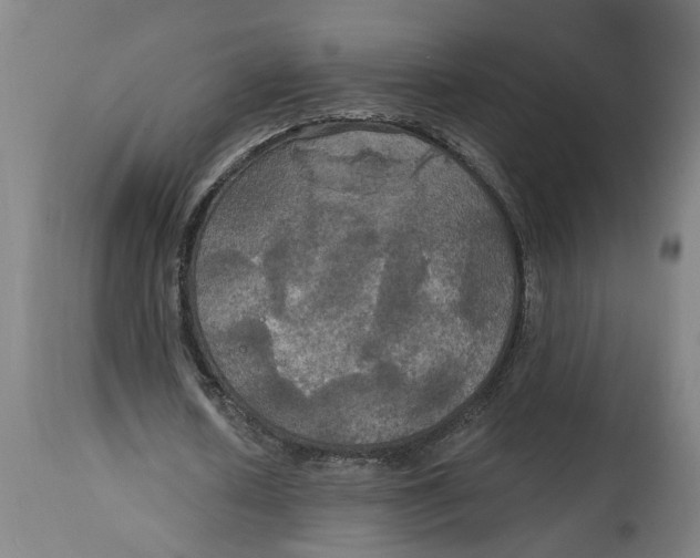 X0000114720626200911121733