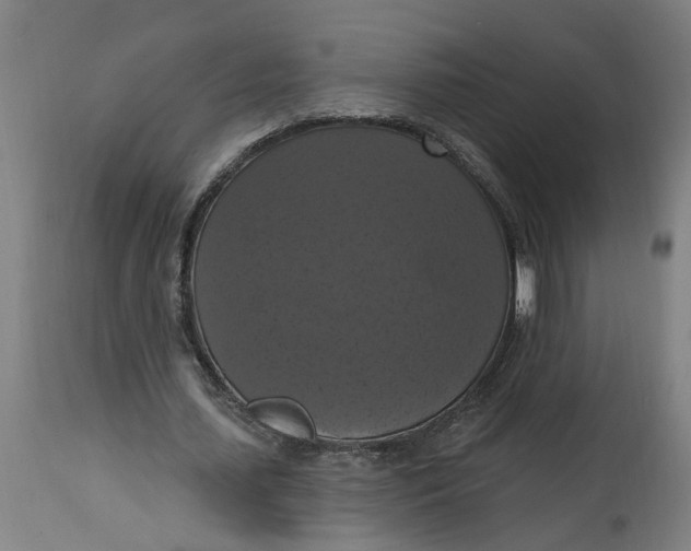 X0000114720627200911121733