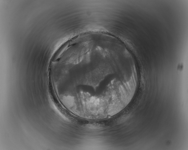 X0000114720630200911121733