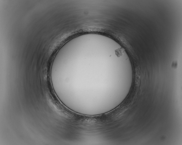 X0000114720631200911121733