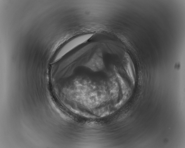 X0000114720634200911121733