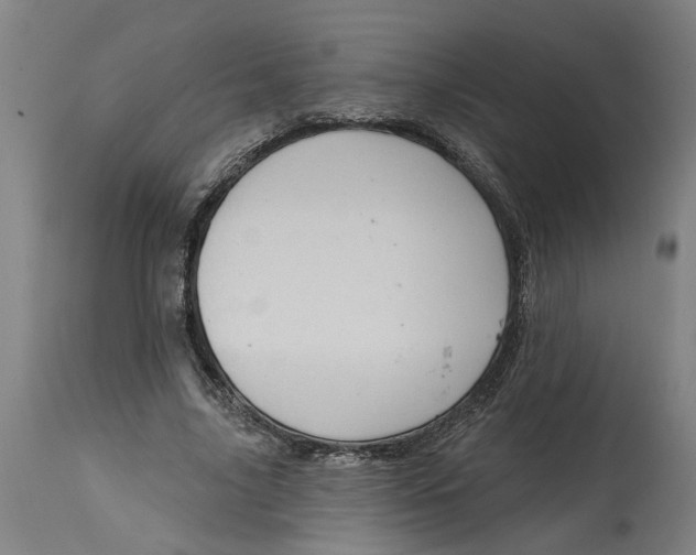 X0000114720635200911121733