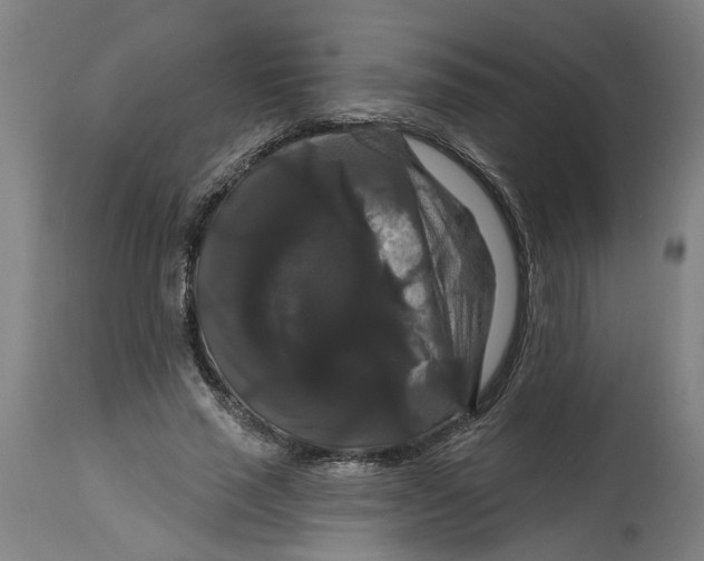 X0000114720637200911121733