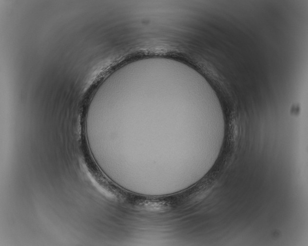 X0000114720638200911121733