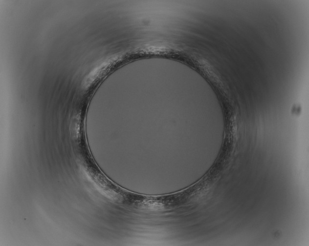 X0000114720640200911121733