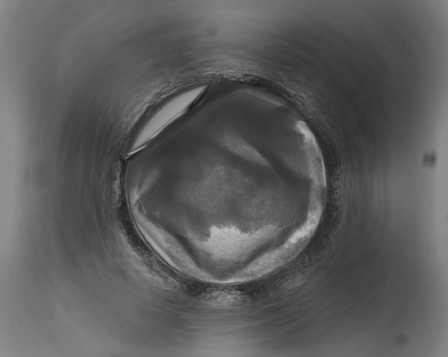 X0000114720642200911121733